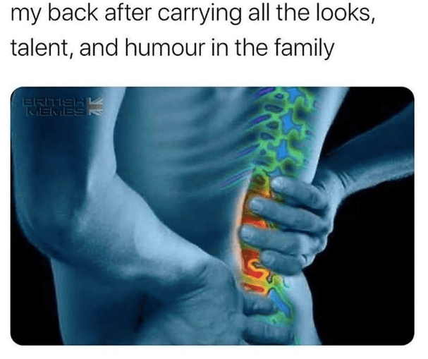 Spinal Anatomy Diagram